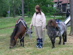 ponnyridning