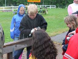 spikt�vling