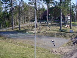 tennis