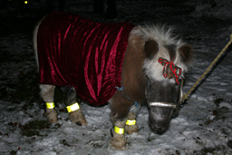 rudolf?