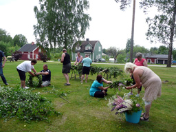 midsommar 2013