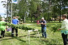 midsommar 2014