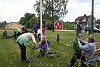 midsommar 2014