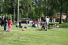 midsommar 2014